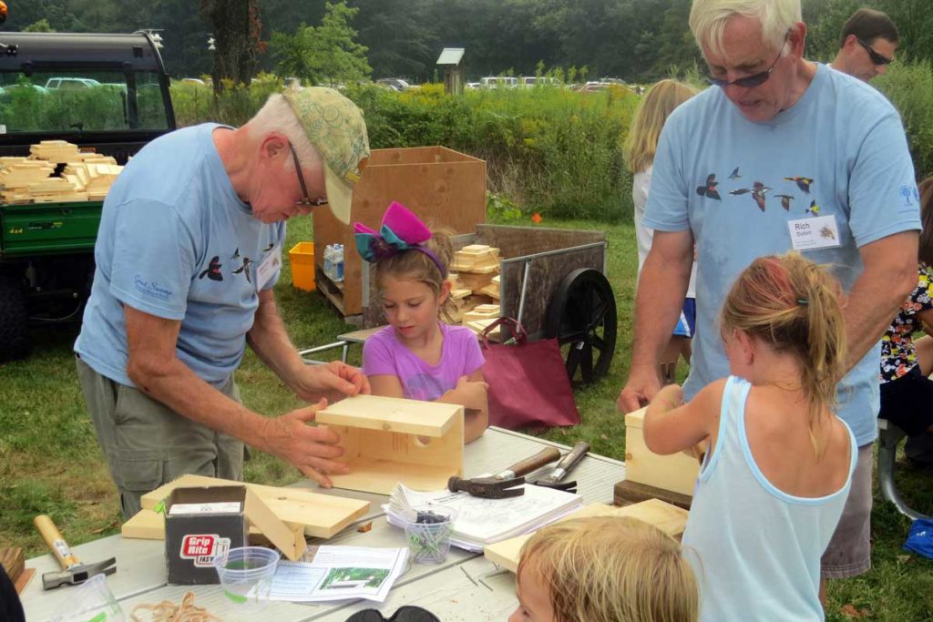 building bluebird nest boxes