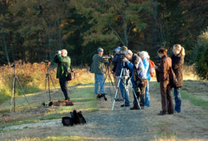 Photographers Sunset Walk, credit Jane Bell