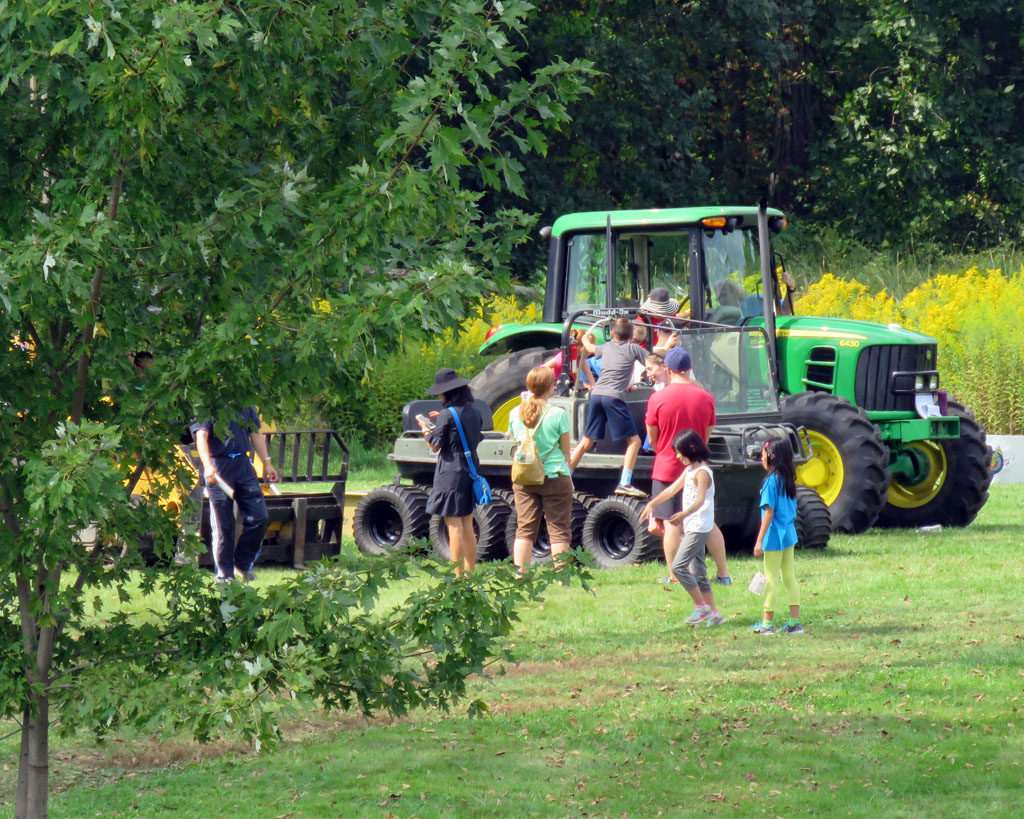 Go ahead. Today you can climb on the heavy equipment. (Photo: Dave Katz)