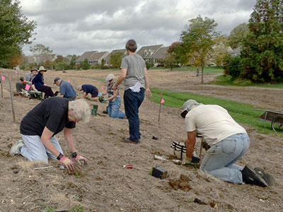 meadowPlanting-400x300