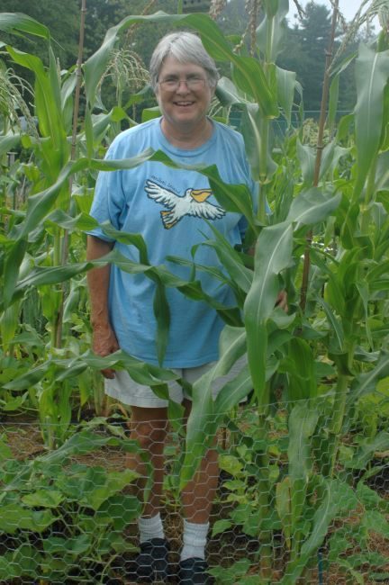 Perry in Corn