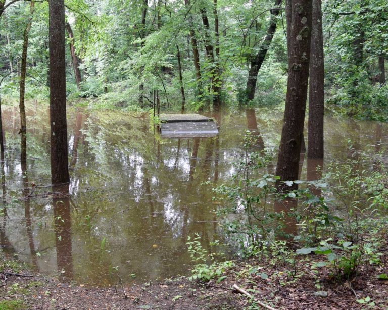 Floating dock at Lumberton canoe launch