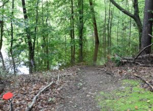 Flooded Waterview Trail