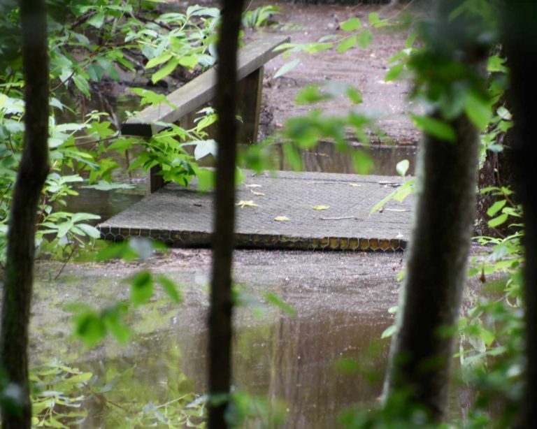 Flooded Holly Trail boardwalk