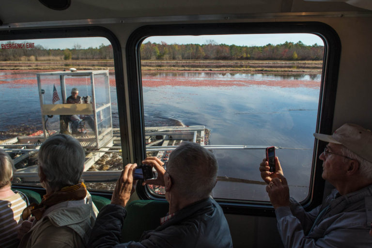 Cranberry Harvest tout