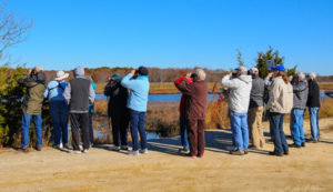 Birders at Forsythe 2015 Oct 30