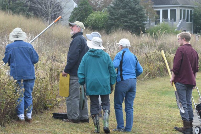 Group deciding where to plant