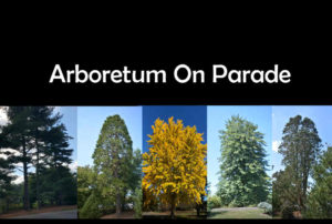 Arboretum On Parade