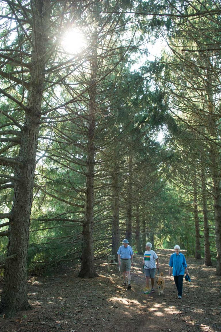 Residents on trail