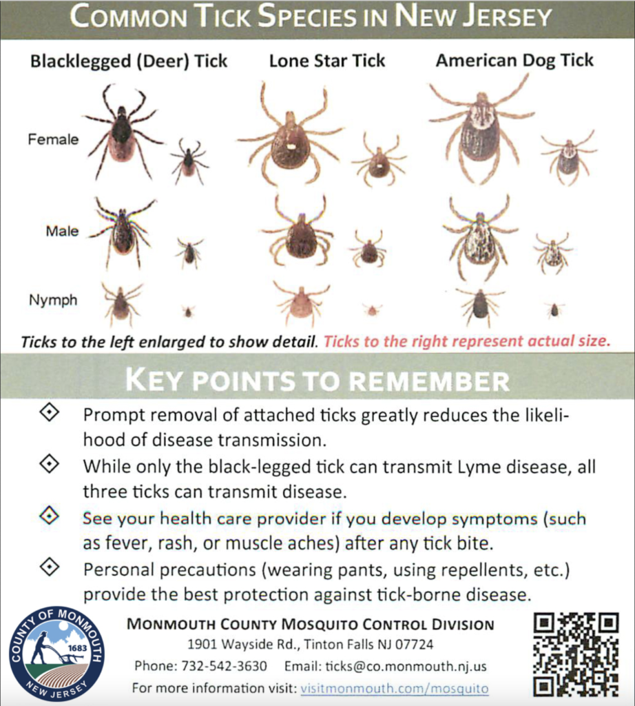 Tick ID card