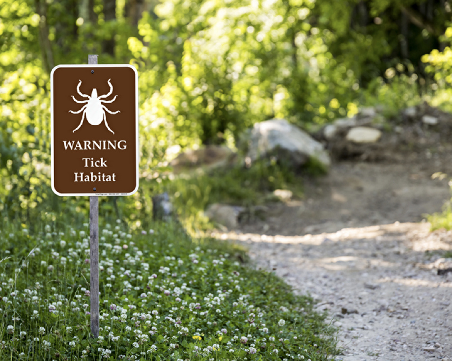 tick habitat