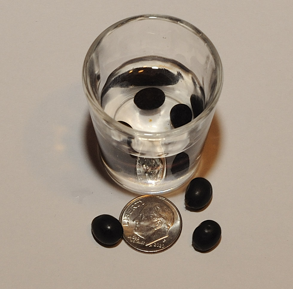canna shots