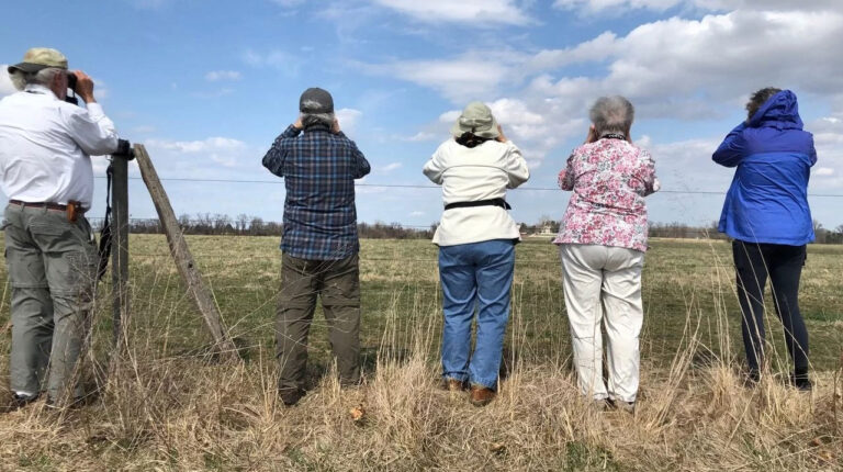 Medford Leas Birders