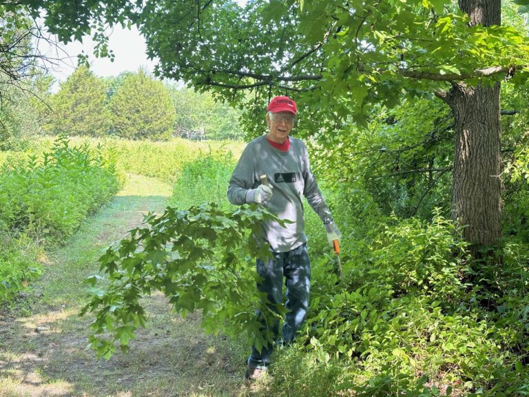 Trimming branches along a trail