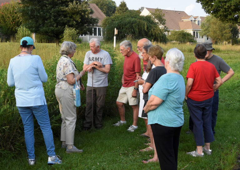 Group looking at something in the Lumberton Meadow