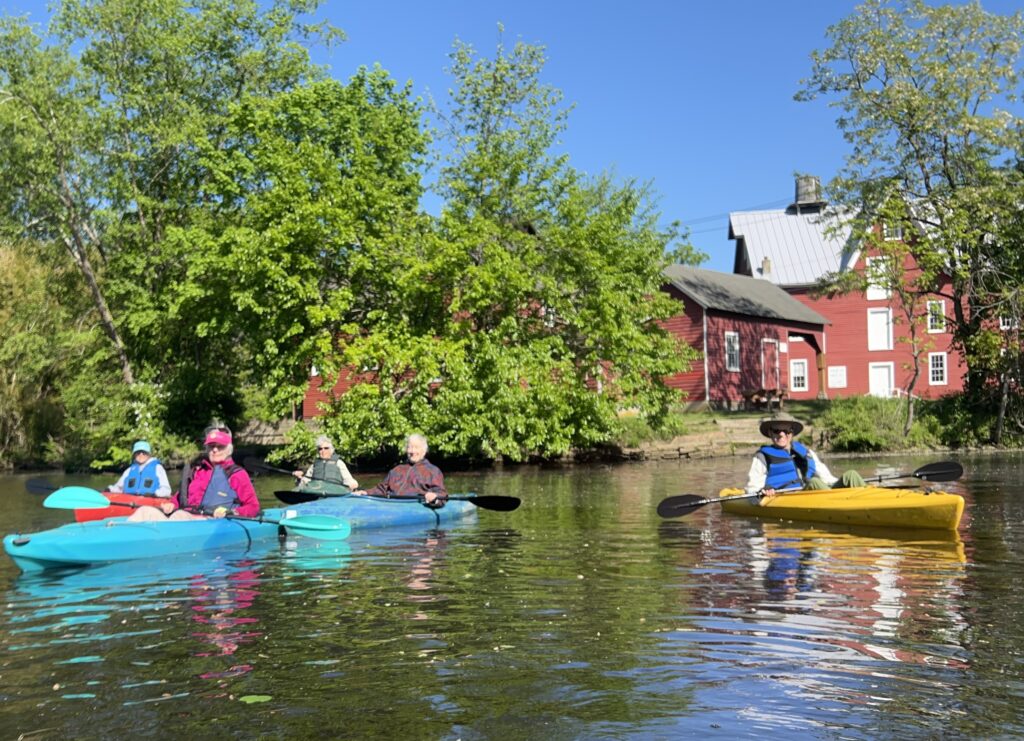 Paddling On Rancocas