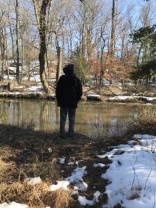 A Late Winter Walk on a Lumberton Leas Trail A Late Winter Walk on a Lumberton Leas Trail, Anna Malsbury