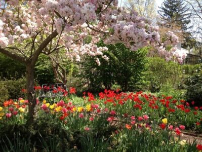 The Mt. Holly Garden I Left Behind, April 2013 The Mt. Holly Garden I Left Behind, April 2013, Anne Moore