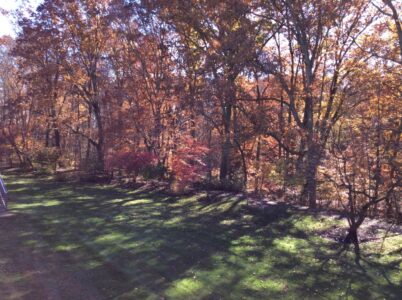 A fall morning along the LL path A fall morning along the LL path, Barry Leatherman