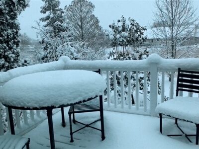 Winter Meadow from Deck Winter Meadow from Deck, John Cosgrove