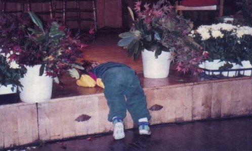 So Tired. Grandson at his Uncle's Wedding Reception So Tired. Grandson at his Uncle's Wedding Reception, Maggie Heineman