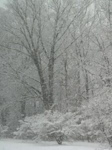 When Will it Stop Snowing? Lumberton Campus When Will it Stop Snowing? Lumberton Campus, Mike Holloway