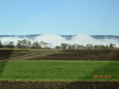 Morning Mist Hangin' Low in Pennsylvania Morning Mist Hangin Low in Pennsylvania, Rumi Sinunu