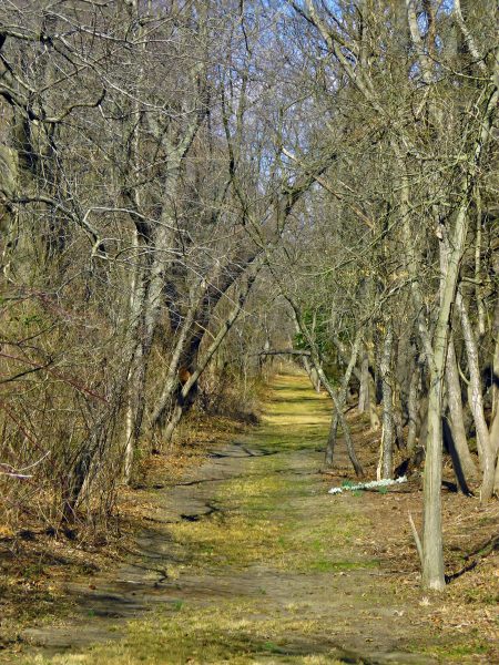 Cathedral trail